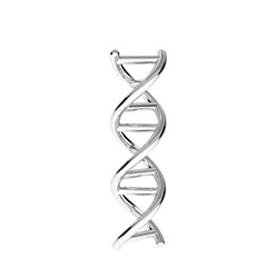 Berlock/länk DNA-sträng sterling silver
